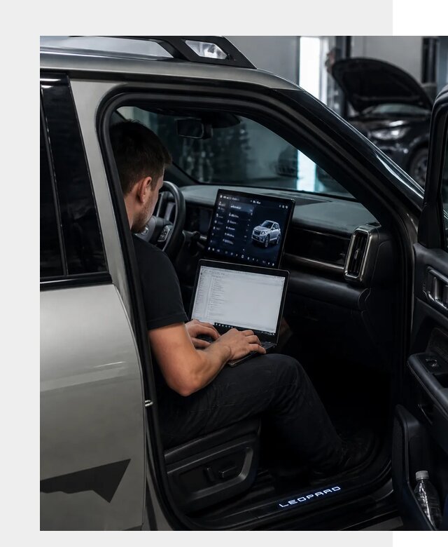 Русификация BYD Leopard 3 в Шумерле по цене от 21617 р. | ФастМобиль-Шмр